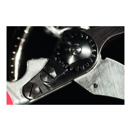 FELCO Baumschere FELCO 7 Gesamtlänge 210 mm ( 4000815629 )