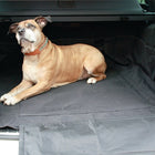 HP AUTOZUBEHÖR Luksusowa nylonowa mata do bagażnika samochodowego w kolorze czarnym ( 4000818643 )