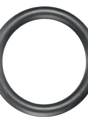 ASW Gummisicherungsring 720 GR Außen-Ø ca. 26 mm ( 4000820737 )