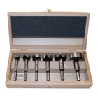 FISCH-TOOLS Forstner bit set type 0317 6-piece ( 4000863448 )