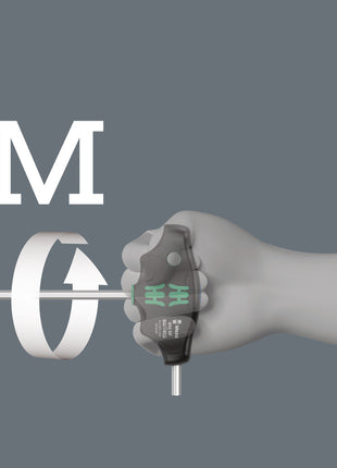 Module d'outils WERA 9713 12 pièces (4000872207)