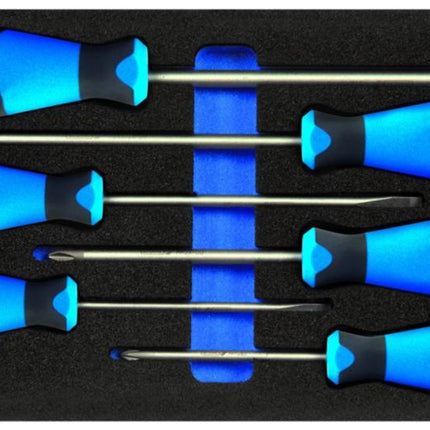 GEDORE Werkzeugmodul 1500 CT1-2150 PH 6-teilig 1/3-Modul ( 4000881215 )