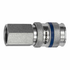 Raccordo rapido RIEGLER DN 7,8 filettatura femmina acciaio ( 4588880903 )