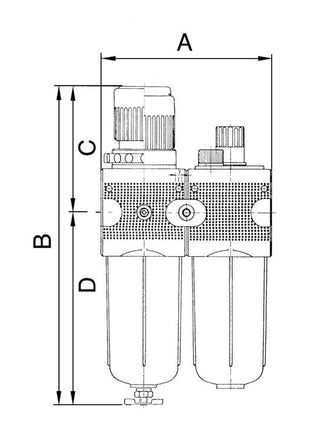 RIEGLER Wartungseinheit MULTIFIX Gewinde G 3/8 ″ halbautomatisch ( 4588881036 )