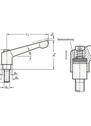 GANTER Palanca de sujeción ajustable GN 300 d1 M 12 mm (4601000488)