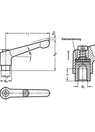 GANTER Verstellbarer Klemmhebel GN 300 d1 M 6 mm ( 4601000546 )