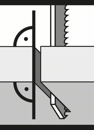 BOSCH Stichsägeblatt T 1044 DP Precision for Wood L.250mm Zahnteilung 4mm ( 8000346003 )