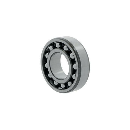 Roulements à rotule sur billes SKF 1204 ETN9/C3 Ø intérieur 20 mm Ø extérieur 47 mm ( 8000504470 )