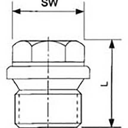 Springer screw plug DIN 910 ISO 228-1 ( 4000000267 ) NPS=1/4 ″ L 21 mm