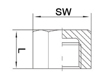 Tappo a molla EN 10226-1 ( 4000000280 ) NPS=1 ″ L 22 mm
