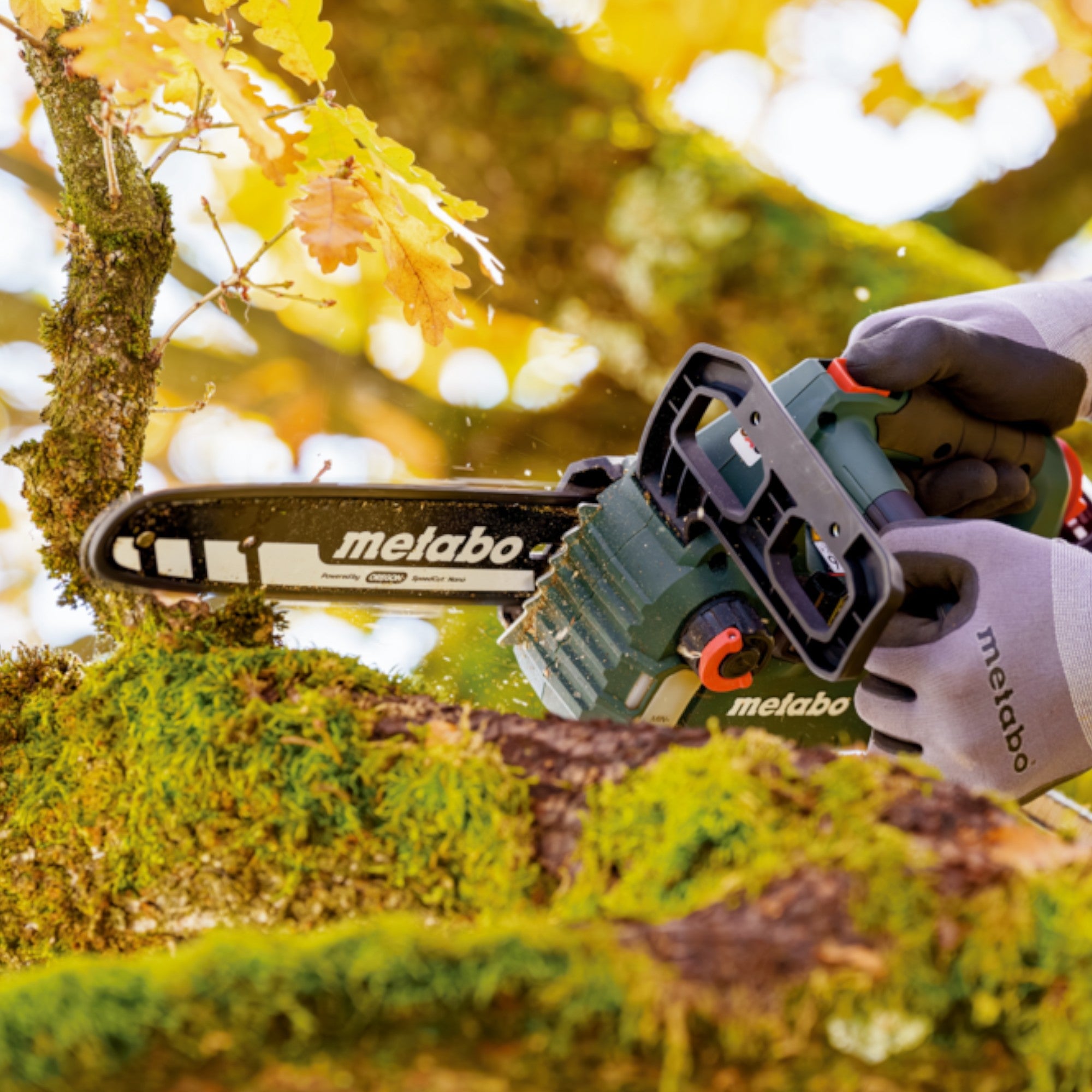 Metabo MS 18 LTX BL 25 Akku Kettensaege 18 V 25 cm Brushless 1x LiHD Akku 4 0 Ah ohne Ladegeraet 4 - toolbrothers