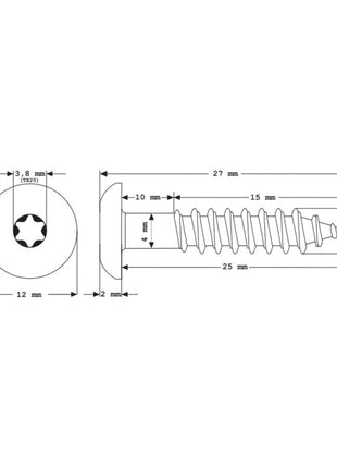 Meisterling Fassadenschrauben 5,5x25 mm 100 Stück ( 010030000021 ) 12 mm Flachkopf hellgrau mit Torx Teilgewinde V4A Edelstahl