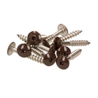 Meisterling Viti per facciate 5,5x25 mm - 100 pz. ( 010030000031 ) 12 mm Testa piatta, marrone scuro, con filetto parziale Torx V4A in acciaio inossidabile