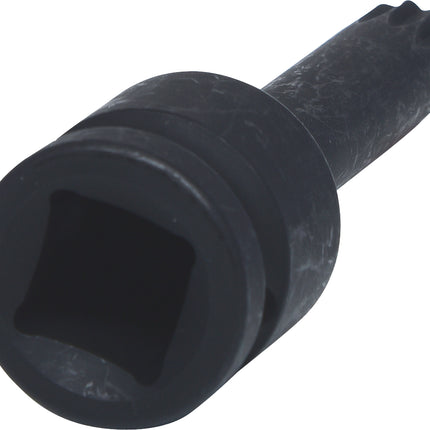 KS TOOLS 1/2" Kraft-Bit-Stecknuss Vielzahn, lang, M12 ( 911.0951 )