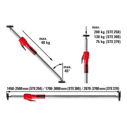 BESSEY STE250 assembly support up to 160 kg ( 4000831627 )