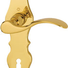 HOPPE Langschildgarnitur Weimar M112SLN/2007 Messing F71 ( 3000253090 )