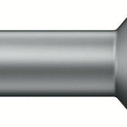 WERA Bit 867/1 TZ 1/4 ″ T 15 Länge 25 mm ( 4000829421 )
