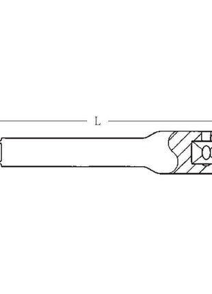 STAHLWILLE Verlängerung 405 1/4 ″ Länge 100 mm ( 4000826263 )