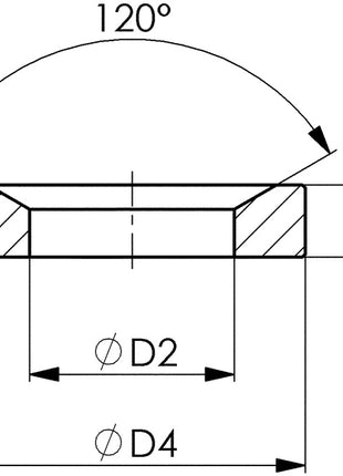 AMF Kegelpfanne DIN 6319D für Schrauben M12 ( 4000833468 )