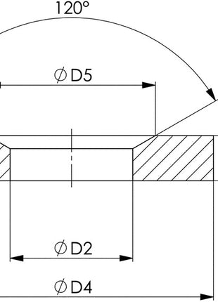 AMF Kegelpfanne DIN 6319G für Schrauben M12 ( 4000833448 )