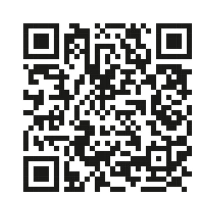 DOLEZYCH Lashing strap DIN EN 12195-2 Length 5 m Width 50 mm ( 4000365003 )