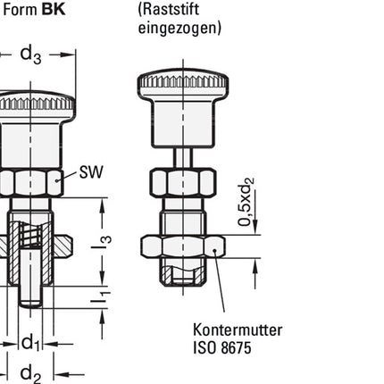 GANTER Rastbolzen GN 817 d1 8 mm d2 M 16 x 1,5 mm l1 12 mm ( 4601001432 )