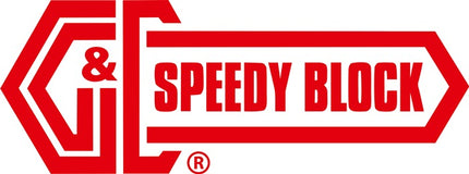 GANTER GN 851 acciaio ( 4601001910 ) tenditore per dispositivi di fissaggio