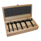 FISCH-TOOLS Forstner bit set BLACK SHARK PRO 6-piece ( 4000863172 )